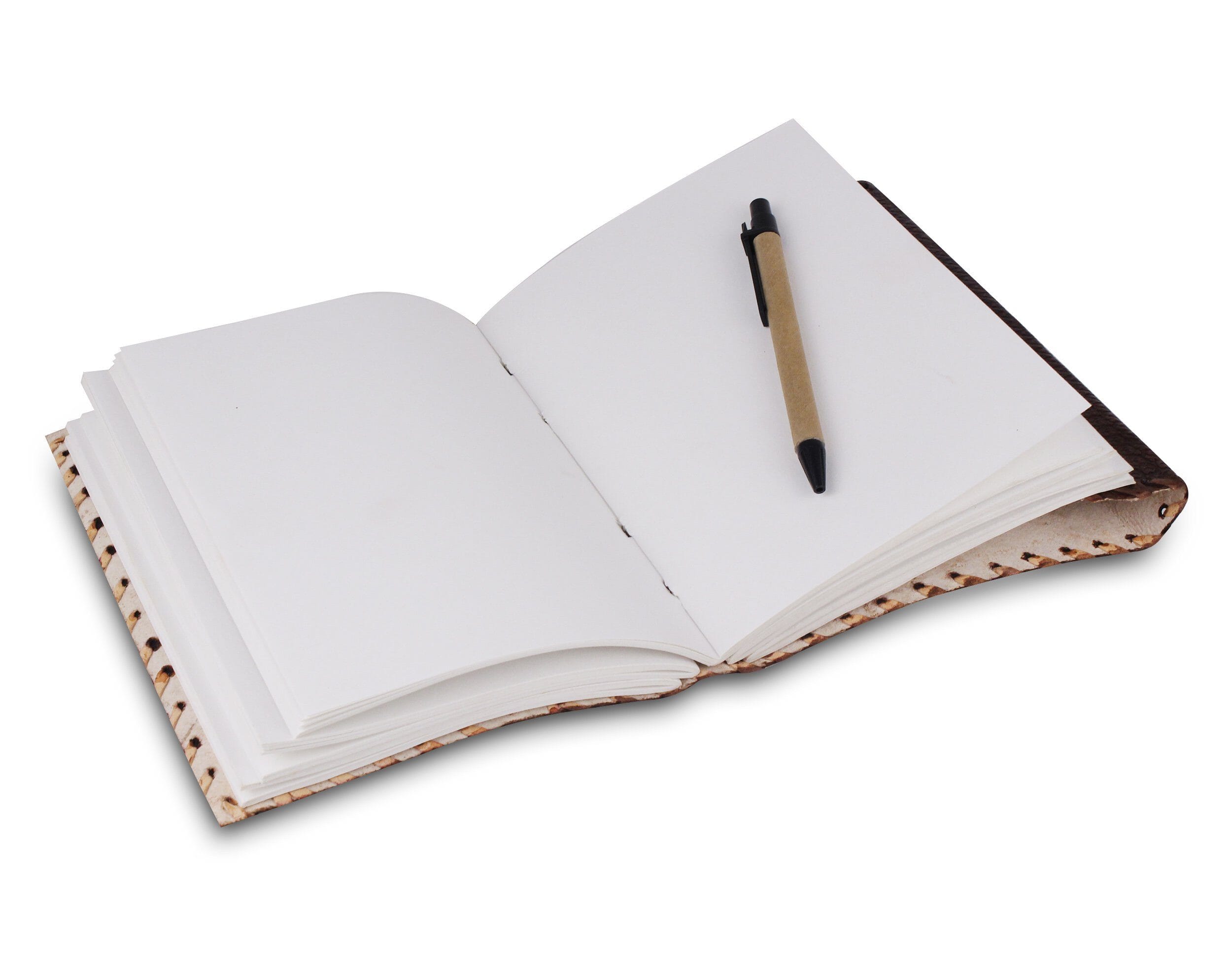 The Mohenjo-daro Journal