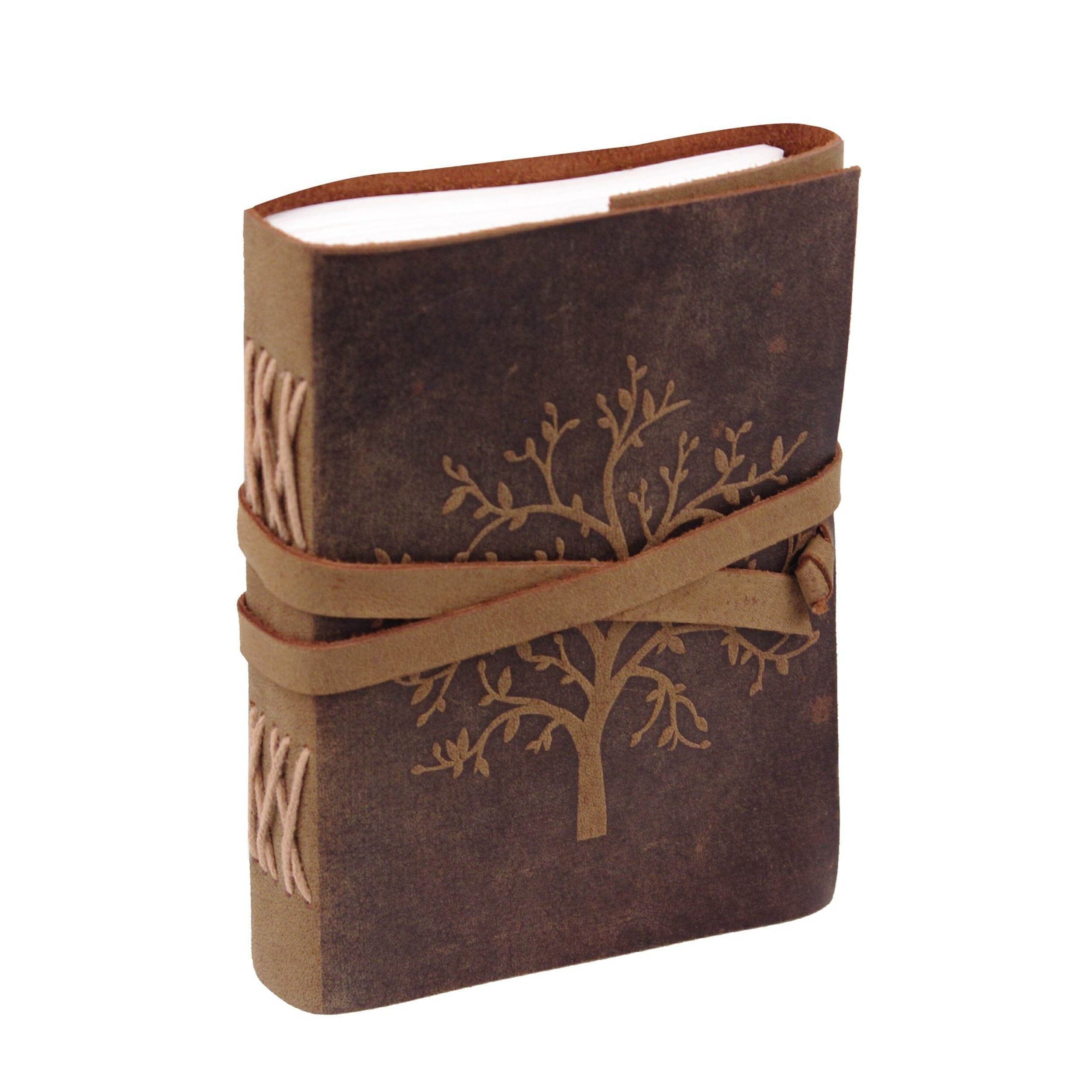 The Sapling Notebook