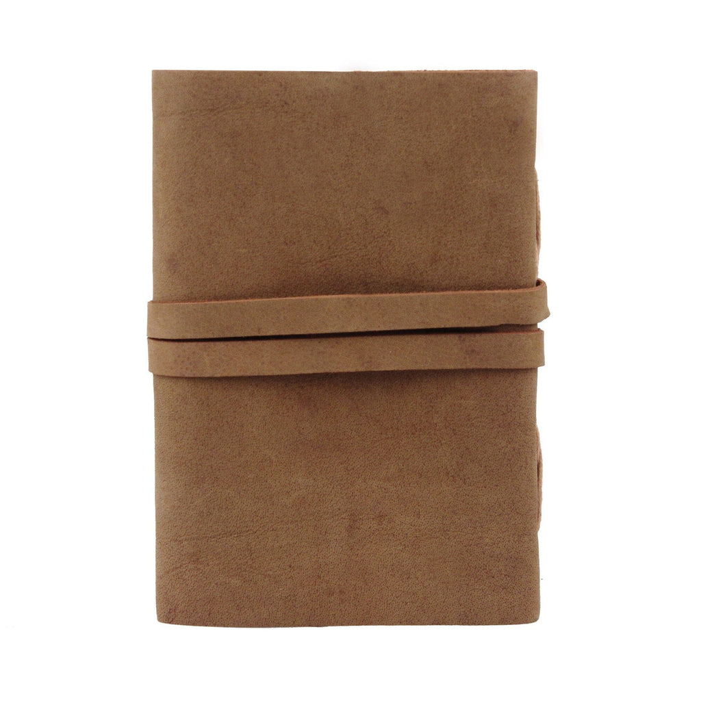 The Sapling Notebook