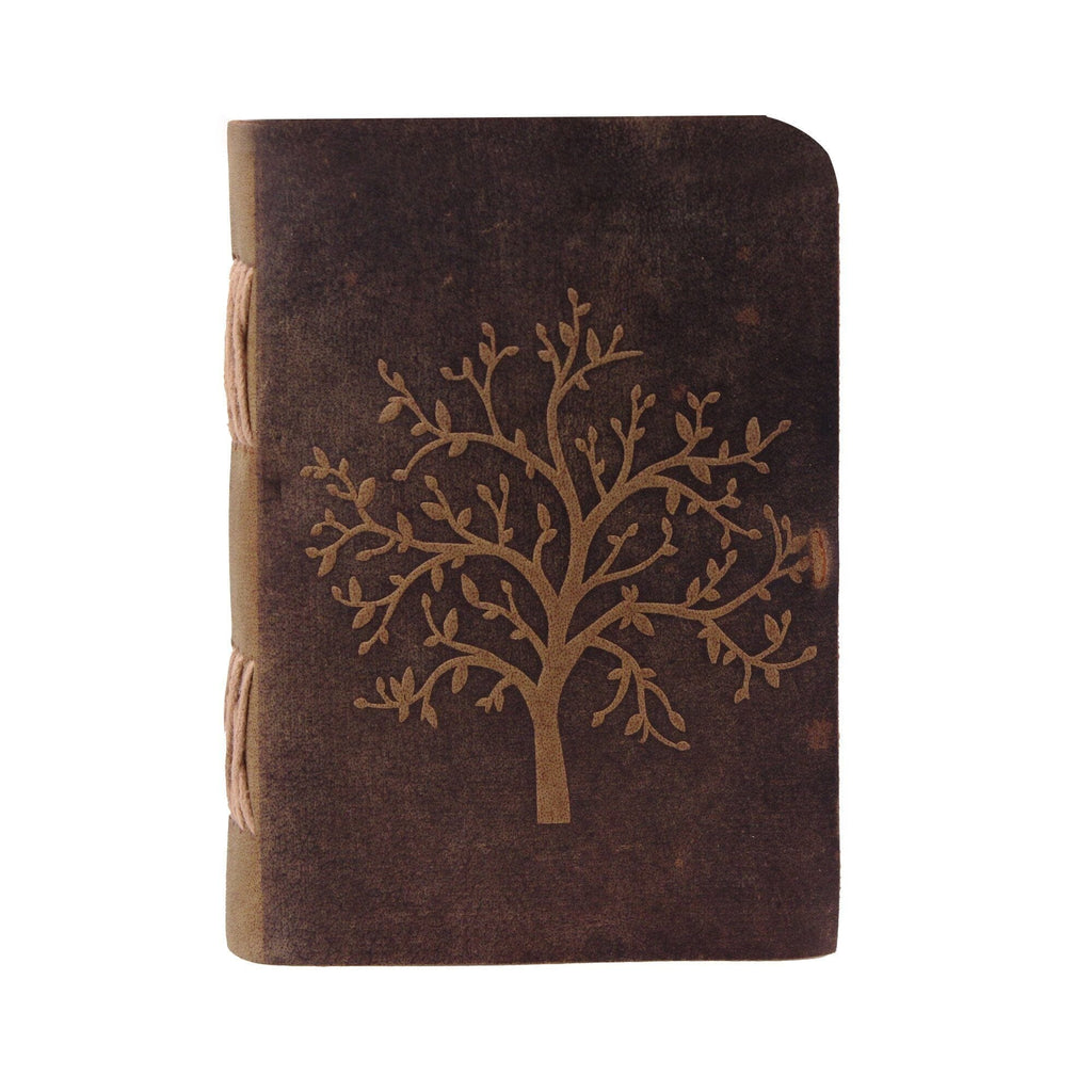 The Sapling Notebook
